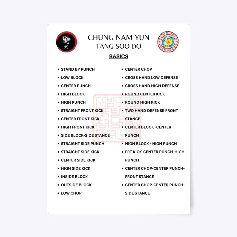 CNY Tang Soo Do Basics Small Poster