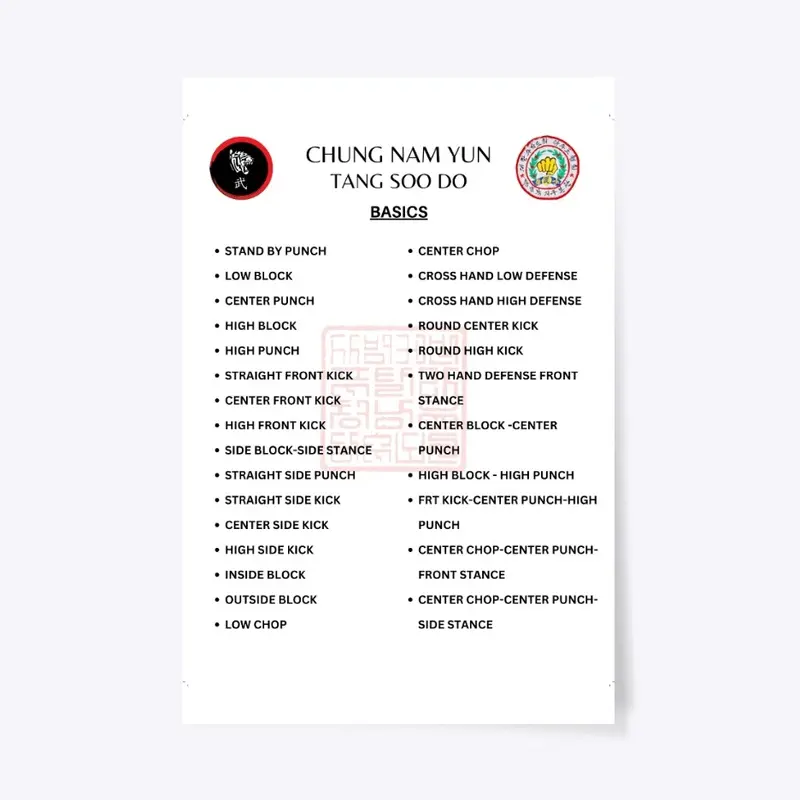 CNY Tang Soo Do Basics Large Poster